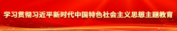 逼逼找人操AV学习贯彻习近平新时代中国特色社会主义思想主题教育